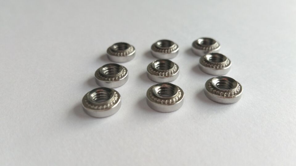 六会宝典资料大全历史记录