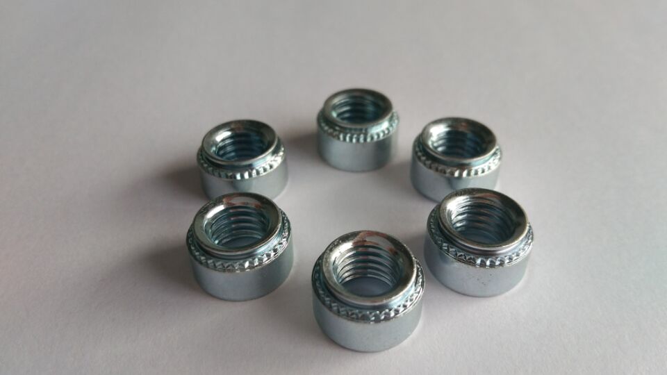 六会宝典资料大全历史记录