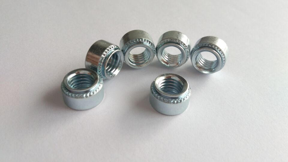 六会宝典资料大全历史记录